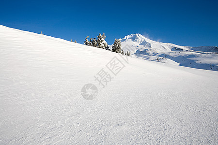 山上的雪图片