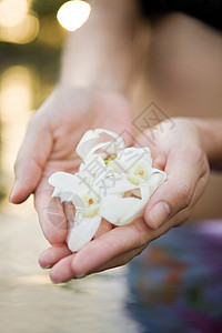 拿着花的女人图片