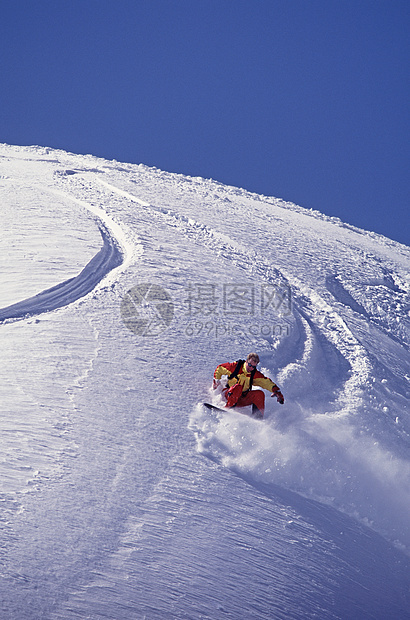 舒克山臂滑雪板图片