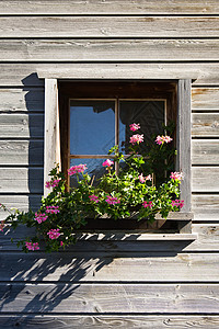 瓦尔斯一栋木屋的窗框里的粉红色天竺葵背景图片