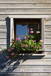 瓦尔斯一栋木屋的窗框里的粉红色天竺葵图片