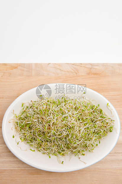 苜蓿芽高清图片下载 正版图片 摄图网 苜蓿芽高清图片下载 正版图片 摄图网