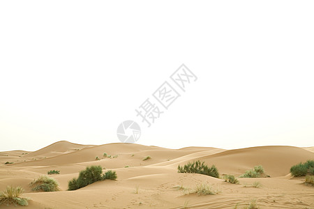 摩洛哥撒哈拉沙漠中的沙丘图片