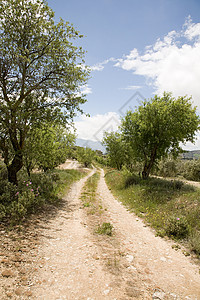 西班牙格拉纳达的乡村土路图片