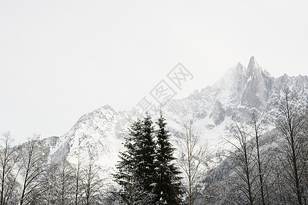法国阿尔卑斯山的树木和山脉图片