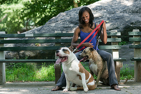 女人和她的两只狗坐在公园长椅上图片