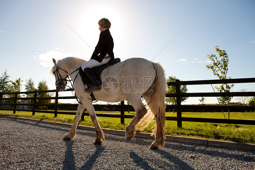 在阳光下骑马的男孩图片