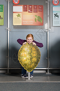 站在凯姆斯里德利海龟壳后面的女孩图片