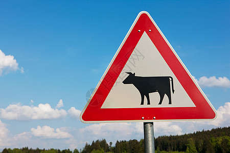 牛路标志图片