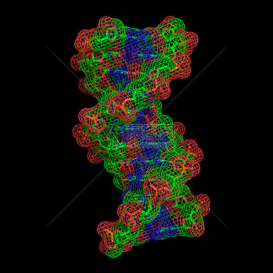 DNA分子图片