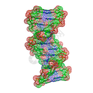 DNA分子图片