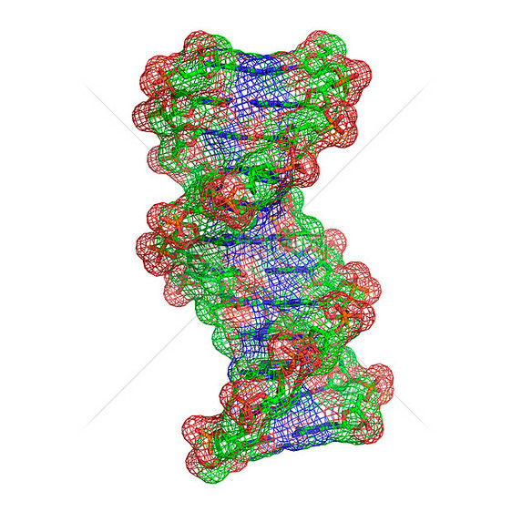 DNA分子图片