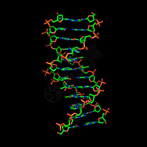 DNA分子图片