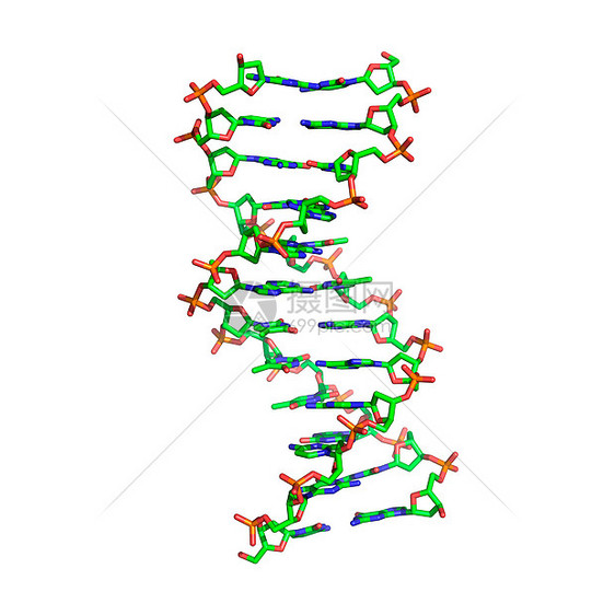 DNA分子图片