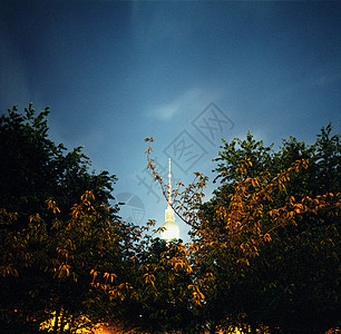 柏林电视塔和树木林图片