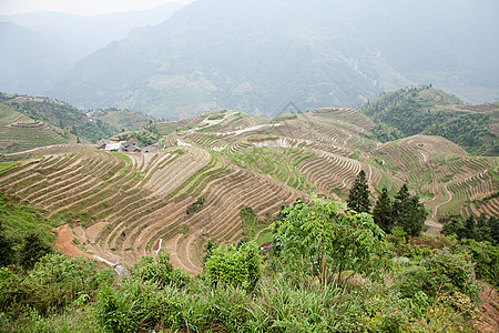 中国广西龙胜龙脊梯田背景图片