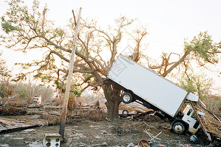 卡特里娜飓风过后卡车悬挂在树上背景图片