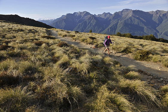 新西兰开普勒赛道上的年轻女性徒步旅行者图片