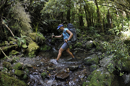 新西兰塔拉拉山脊森林溪流徒步女旅行者图片