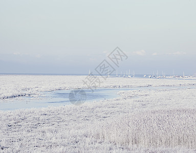 霜冻的海岸线和遥远的游艇图片
