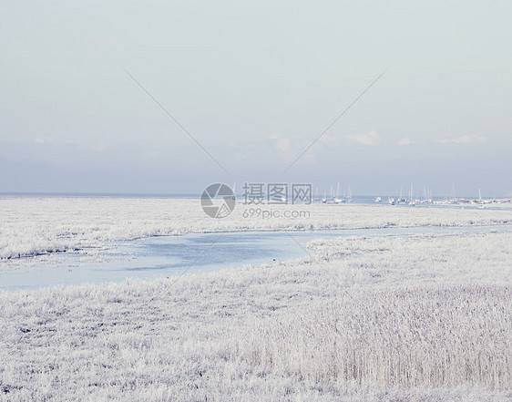 霜冻的海岸线和遥远的游艇图片