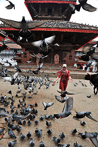 在尼泊尔加德满都杜尔巴广场贾加纳特神庙前图片