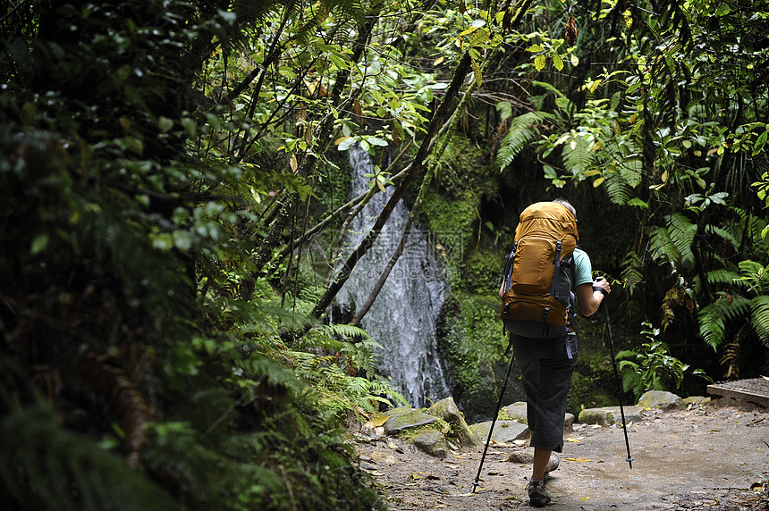 ‘~在新西兰茂盛的森林里徒步旅行的表妹  ~’ 的图片