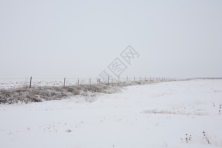 雪地里的田野和栅栏图片