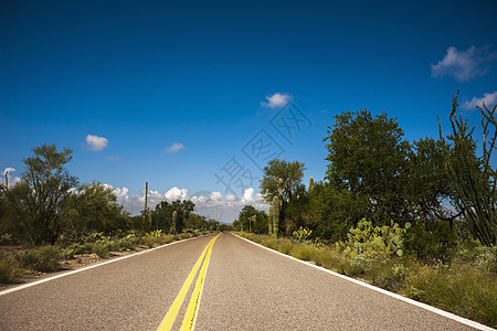 美国亚利桑那州图森市道路图片