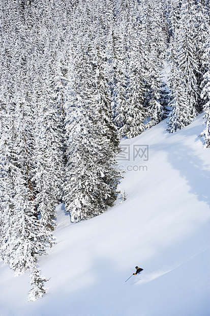 花样滑雪图片