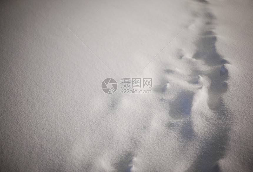 雪地里的脚印图片