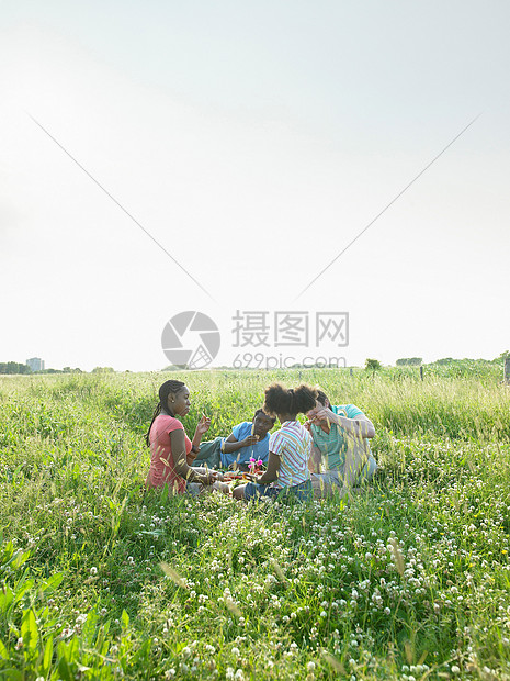 一家人坐在花田里图片