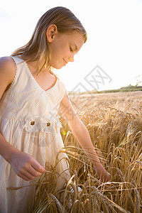 新鲜空气站在玉米地里的小女孩背景