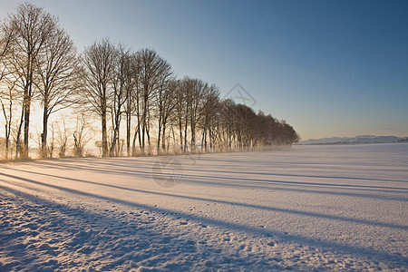 积雪冬季景观背景