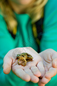 旅行青蛙拿着小青蛙的女孩背景