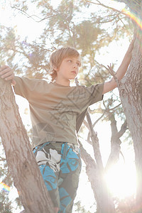 男孩爬树图片