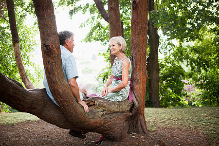 坐在树上放松的老年夫妇图片