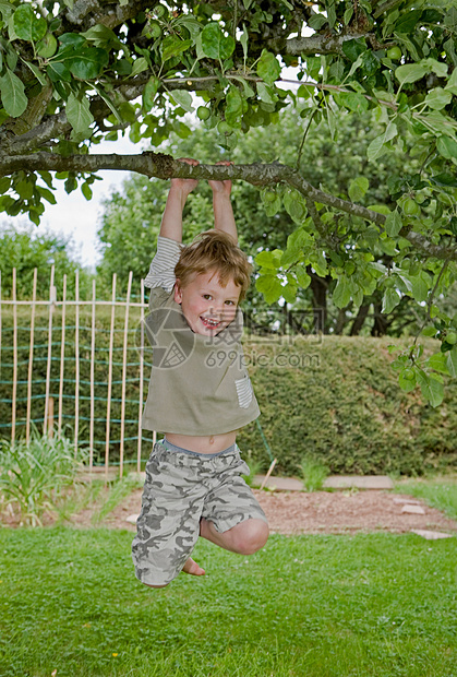 挂在树上的男孩图片