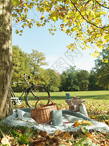 秋天在田野里野餐和骑自行车图片