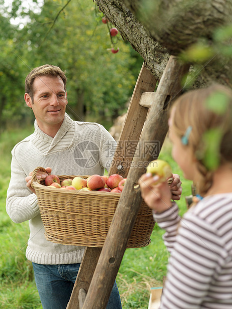 男人一边摘苹果一边看着女孩图片