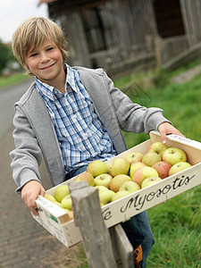 男孩提着装满成熟苹果的箱子图片