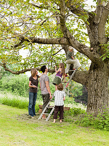 带孩子的父母爬树图片