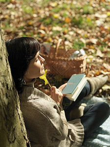 秋天在树下看书的女人图片