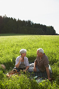 在草地上野餐的老年夫妇图片