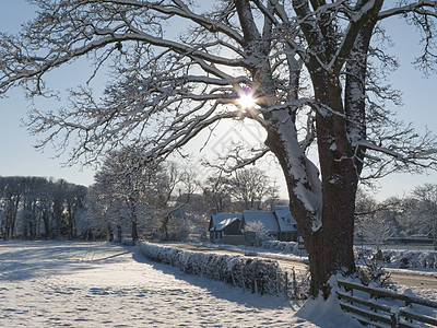 苏格兰贝里克郡冰雪覆盖景观图片