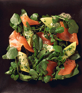 食物-西洋菜和鲑鱼沙拉背景图片