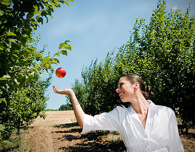 在果园里摘苹果的女人图片