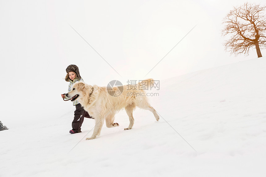 女孩在雪地里遛狗图片