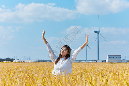 黑米稻田秋季美女背景