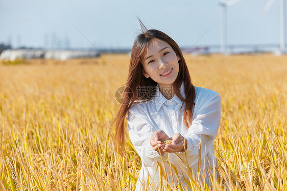 年轻美女手捧稻谷图片